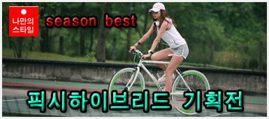 Ƚ ̺긮 ȹ